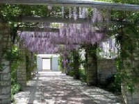 /album/fotogaleria-uvodna-stranka/web-3-jpg/